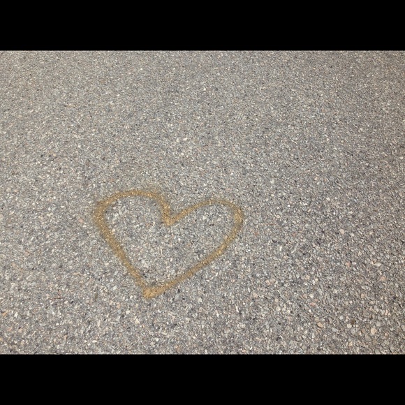 Meet your Posher, Stella - Picture 1 of 1